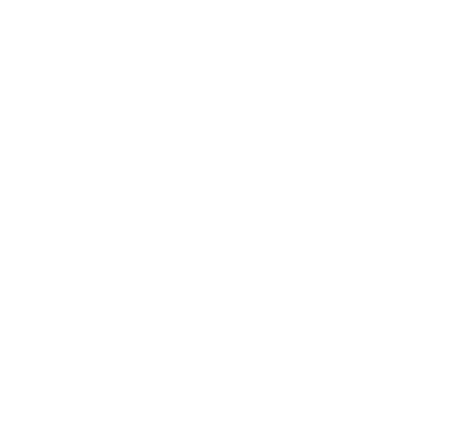 Blue Phoenix Creative Studios